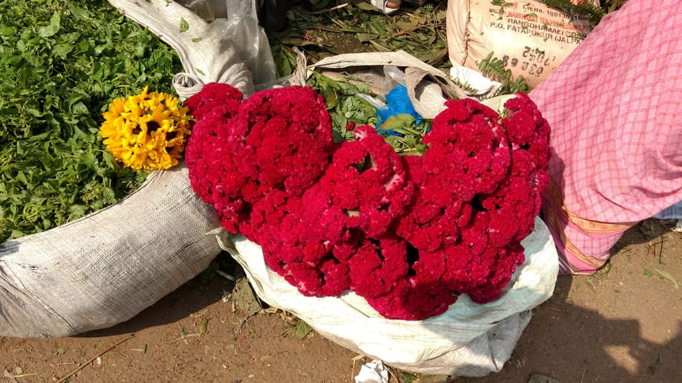 Mullick Ghat Flower Market - Image 3