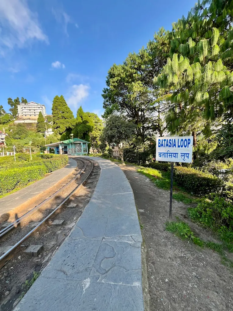 Batasia Loop ㅤ - Image 3