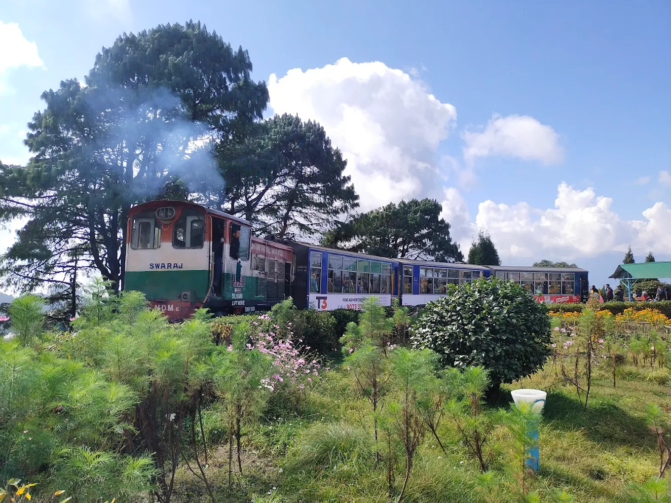 Batasia Loop ㅤ - Image 4