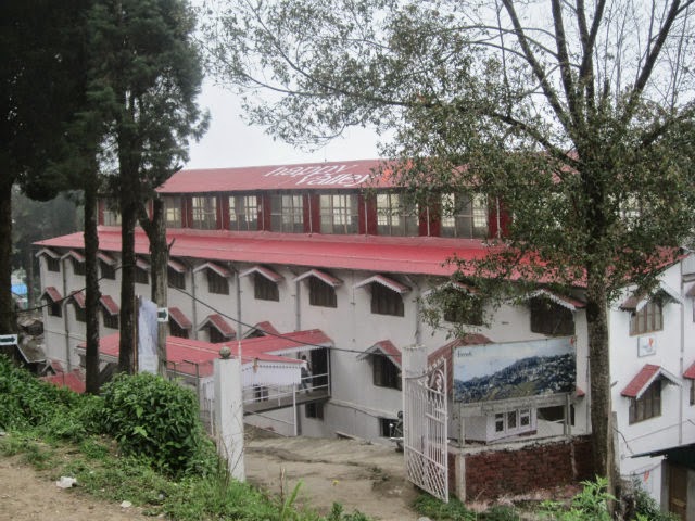 Happy Valley Tea Estate - Image 2