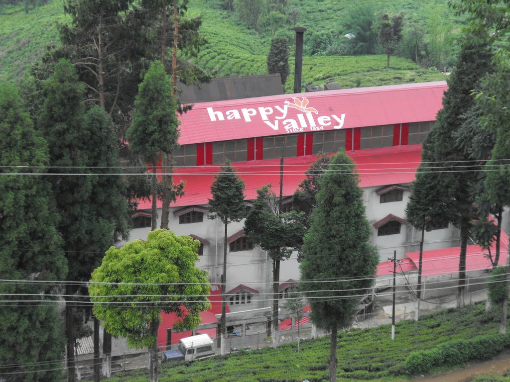Happy Valley Tea Estate - Image 5
