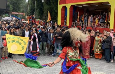Fulpati and lakhe dances - Image 4