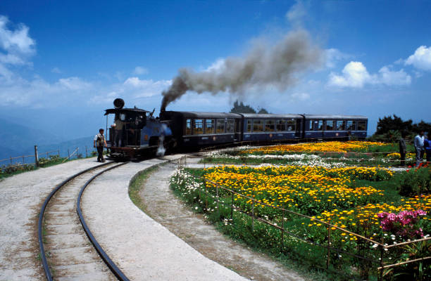 Darjeeling Himalayan Railway - Image 3