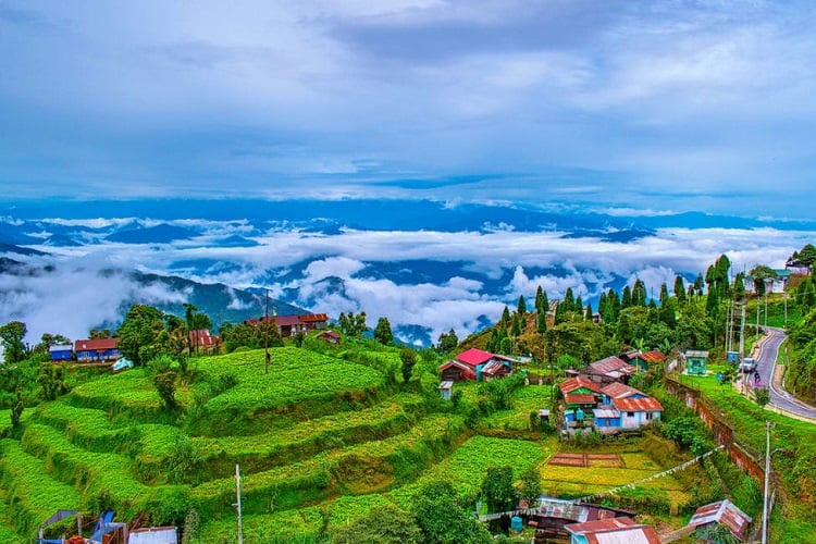 Spring in Darjeeling - Image 3