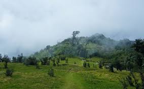 Singalila National Park - Image 2