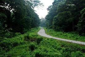 Rajabhatkhawa Heritage Forest Village