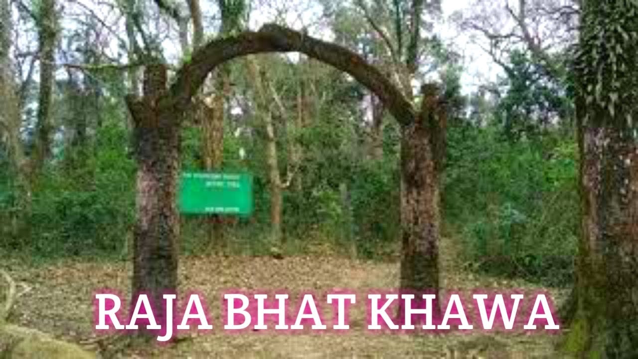 Rajabhatkhawa Forest Eco Market - Image 2