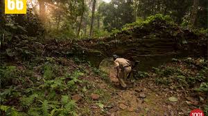 Chunabhati Forest Trail & Ruins