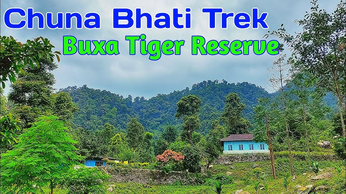 Chunabhati Forest Trail & Ruins - Image 2