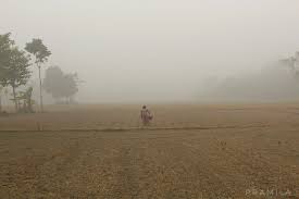 Raasik Beel in Winter - Image 2