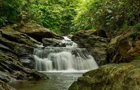 Chakrashila Wildlife Sanctuary - Image 2