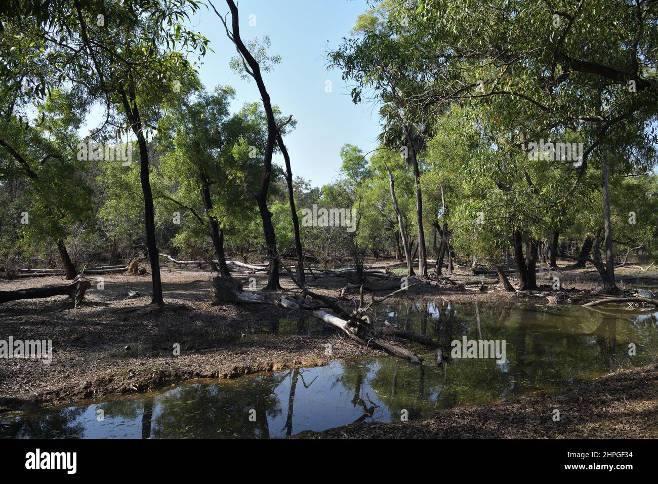Ballavpur Wildlife Sanctuary - Image 3
