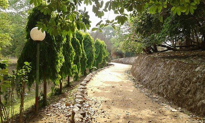 Satabdi Park and Mini Zoo - Image 2