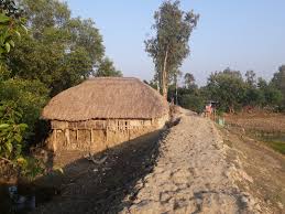Sundarban Hingalganj Area