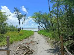 Henry's Island - Image 3