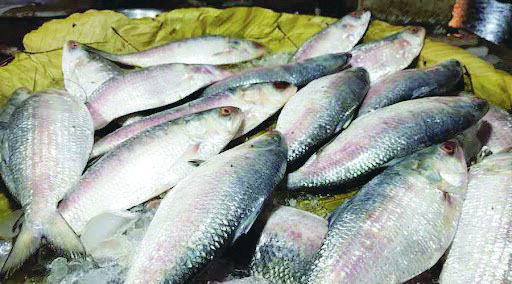 Namkhana Fish Market