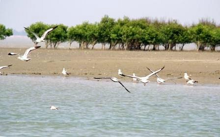 Jambu Dwip - Image 3