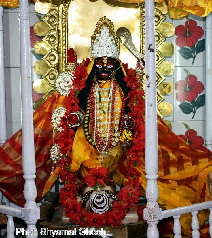 Swarnamayee Kali Temple